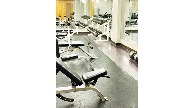 Free Weight Area 2